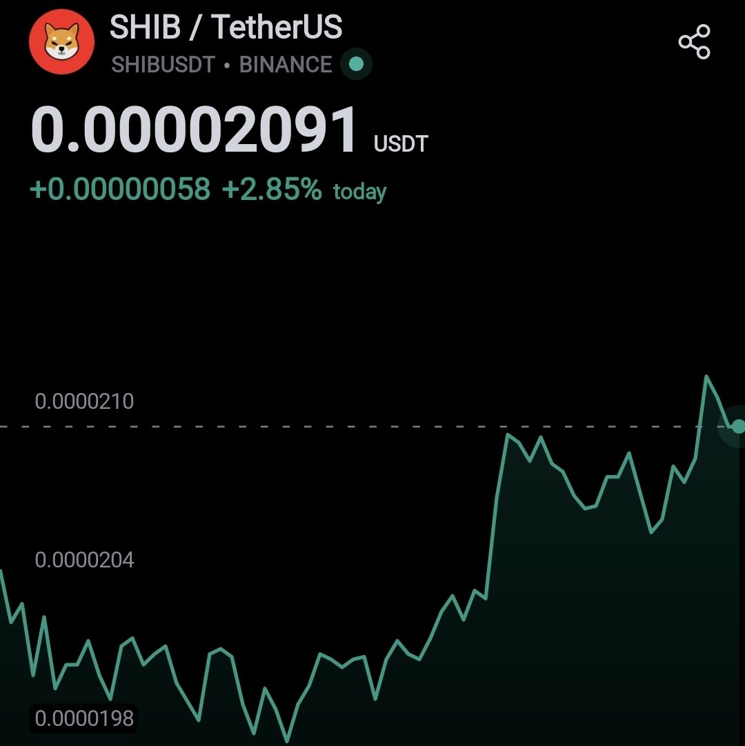 $SHIB KNIGHT tweet media