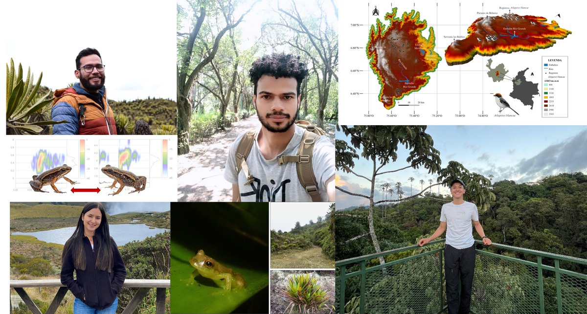 ¿Tienes un proyecto de investigación que necesita financiación? o ¿una publicación científica que necesita un impulso final? Aplica a las Becas de Investigación y Escritura Científica de SELVA! Convocatoria Abierta hasta el 17 de Mazo 2025. selva.org.co/programas/educ…