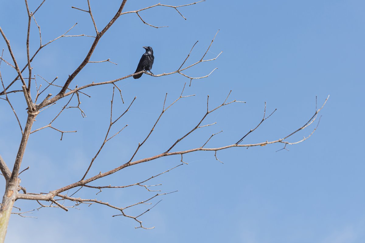 Editions Kana tweet media