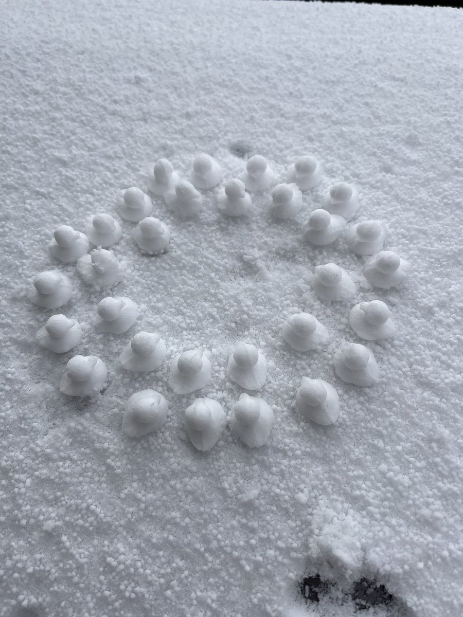 Made an army of snow ducks now that it finally snowed here