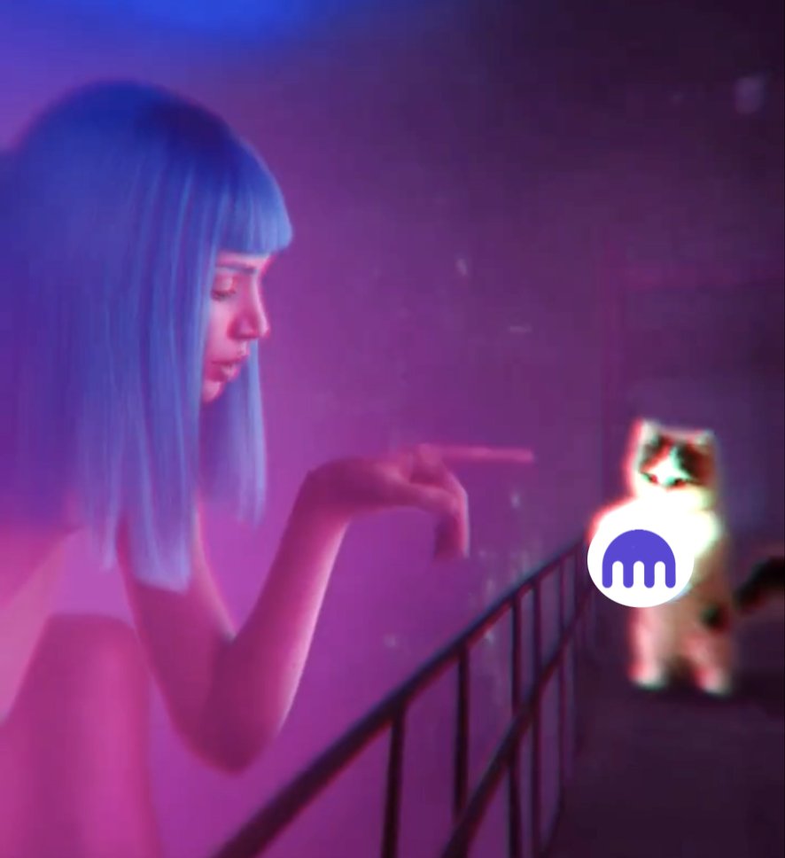 The most memeable cat on the internet – Possibly in the entire known universe 🌌 

$MICHI – the infinity meme ♾️ 

🐱 > 🐶