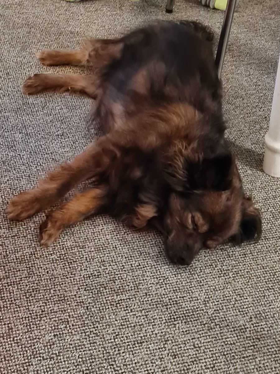 TheMoment🐦 tweet media