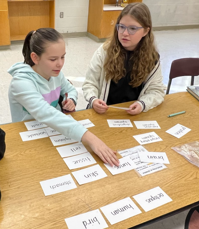 DRMS 7th Grade tweet media