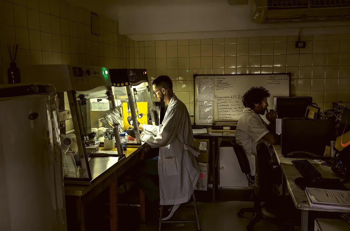 🎉 "Los cazadores de superbacterias" de Cintia Kemelmajer (<a href="/cinkemel/">Cintia Kemelmajer</a>) ha resultado finalista de los True Story Award (<a href="/truestoryaward/">True Story Award</a>) edición 2025. 

¡Felicidades a la autora! 🥳

Lee el artículo completo aquí:
gatopardo.com/articulos/los-…