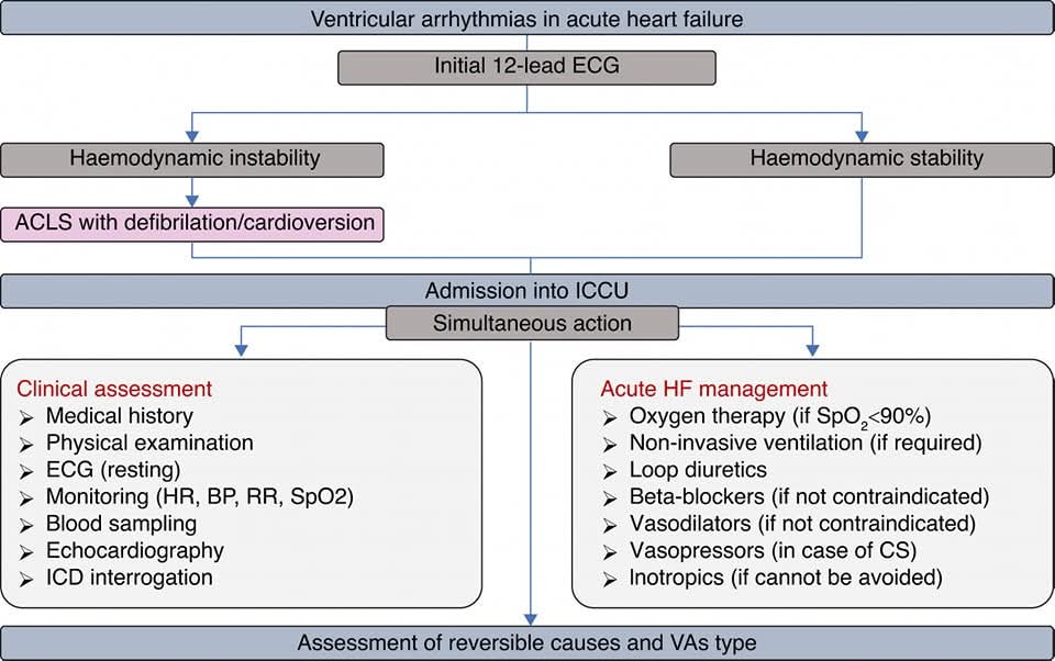 ZHeart11768530's tweet photo. 🔴Ventricular arrhythmias in acute heart failure:⤵️
🔹 A 2024 clinical consensus statement of the ACVC, EHRA, &amp; HFA of the ESC⤵️ #OpenAccess  

https://t.co/CaSXAb5330 https://t.co/n8iOMUODxF