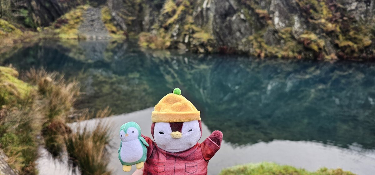 Supermadfishy's tweet photo. @pudgypenguins I love my Pudge🥺 https://t.co/IHD5AZmqI6