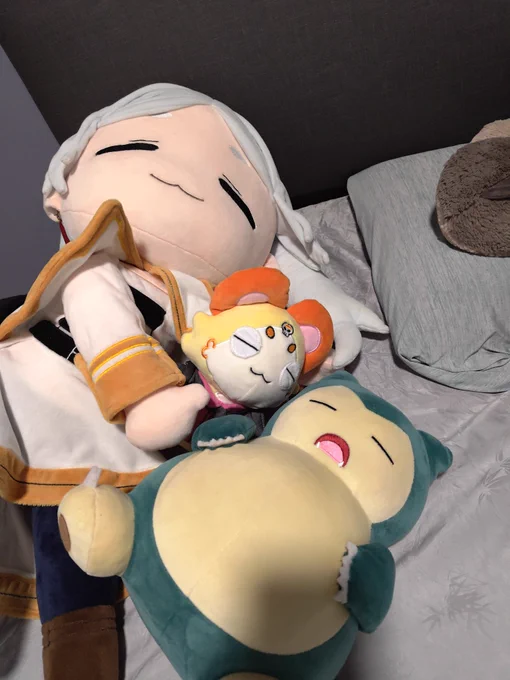 #CiaoRaora Sleepy Chattino Lawyer 