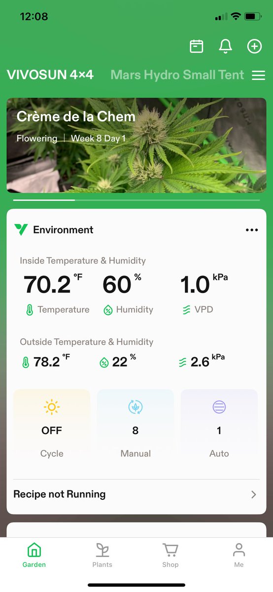 GrowsOhio's tweet photo. All 3 tents rolling along, flowering autos and Blue Dream are in lights out, the germinating tent is on 24h for the next 4 weeks roughly…. Ugh electric bills… 😂
.
#vivosun #marshydro #organic #autoflower #photoperiod #foxfarm #buildasoil #gaiagreen #loyaltothesoil #cannafam https://t.co/t8n9fXBf0G