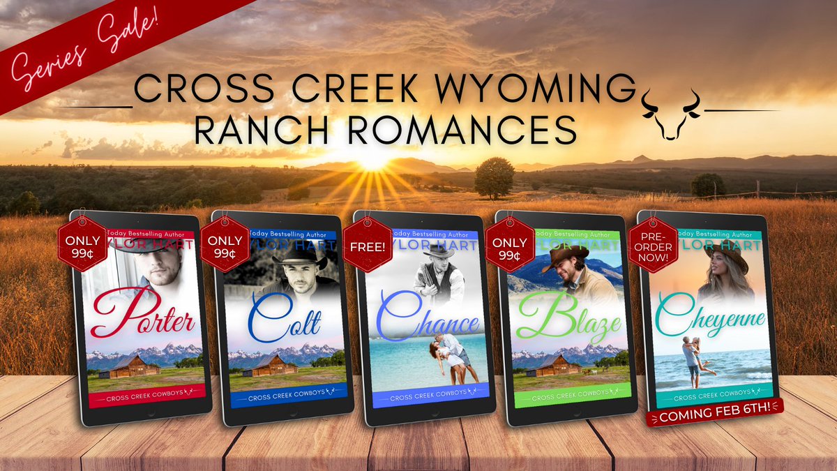 FREE &amp; 99¢ Series Sale! Discover the challenges the Cross Family is met with as the hunt for the Conquistador Gold continues! Will they learn to trust each other, protect their land that is their legacy and find love?
Check them out HERE: bit.ly/462Y7Zu