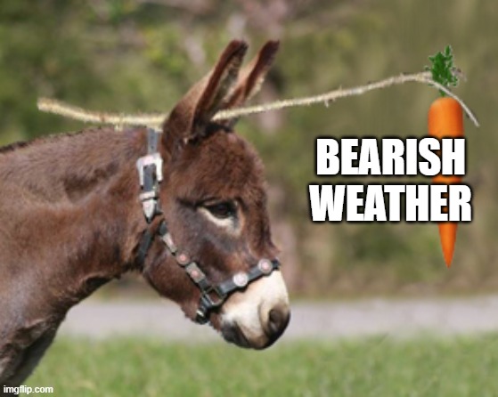 Bobbi_signals's tweet image. #natgas