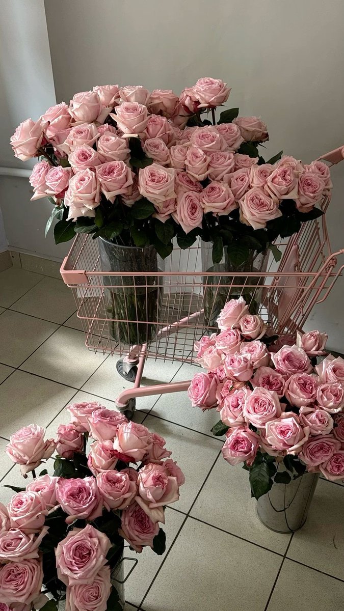 ❀ (@i3moment) on Twitter photo 