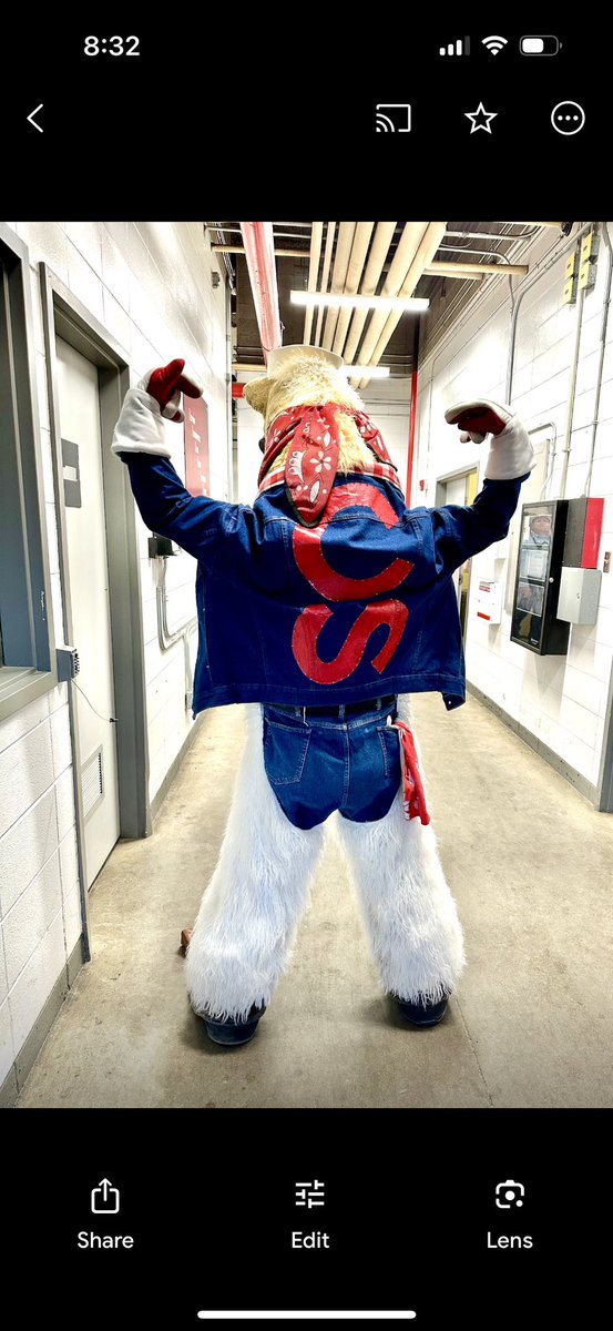 Harry The Horse tweet media