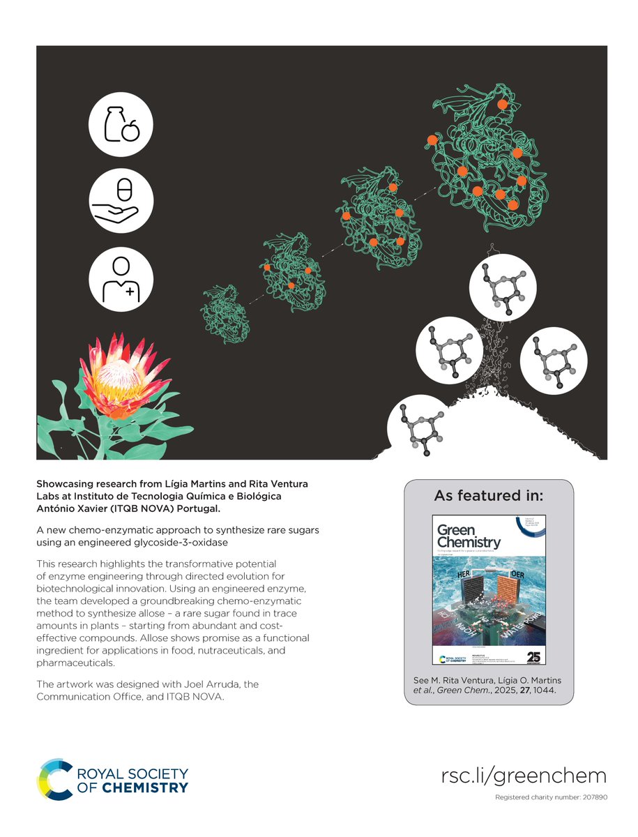 Green Chemistry (@green_rsc) on Twitter photo Free to read 🔓
A new chemo-enzymatic approach to synthesize rare sugars using an engineered glycoside-3-oxidase 💚
🔗doi.org/10.1039/D4GC04…
<a href="/lom_martin/">Ligia O. Martins</a> <a href="/AndrTaborda3/">André Taborda</a> <a href="/itqbnova/">ITQB NOVA</a> @InnOValley
<a href="/RoySocChem/">Royal Society of Chemistry</a> #OpenAccess Free to read 🔓
A new chemo-enzymatic approach to synthesize rare sugars using an engineered glycoside-3-oxidase 💚
🔗doi.org/10.1039/D4GC04…
<a href="/lom_martin/">Ligia O. Martins</a> <a href="/AndrTaborda3/">André Taborda</a> <a href="/itqbnova/">ITQB NOVA</a> @InnOValley
<a href="/RoySocChem/">Royal Society of Chemistry</a> #OpenAccess