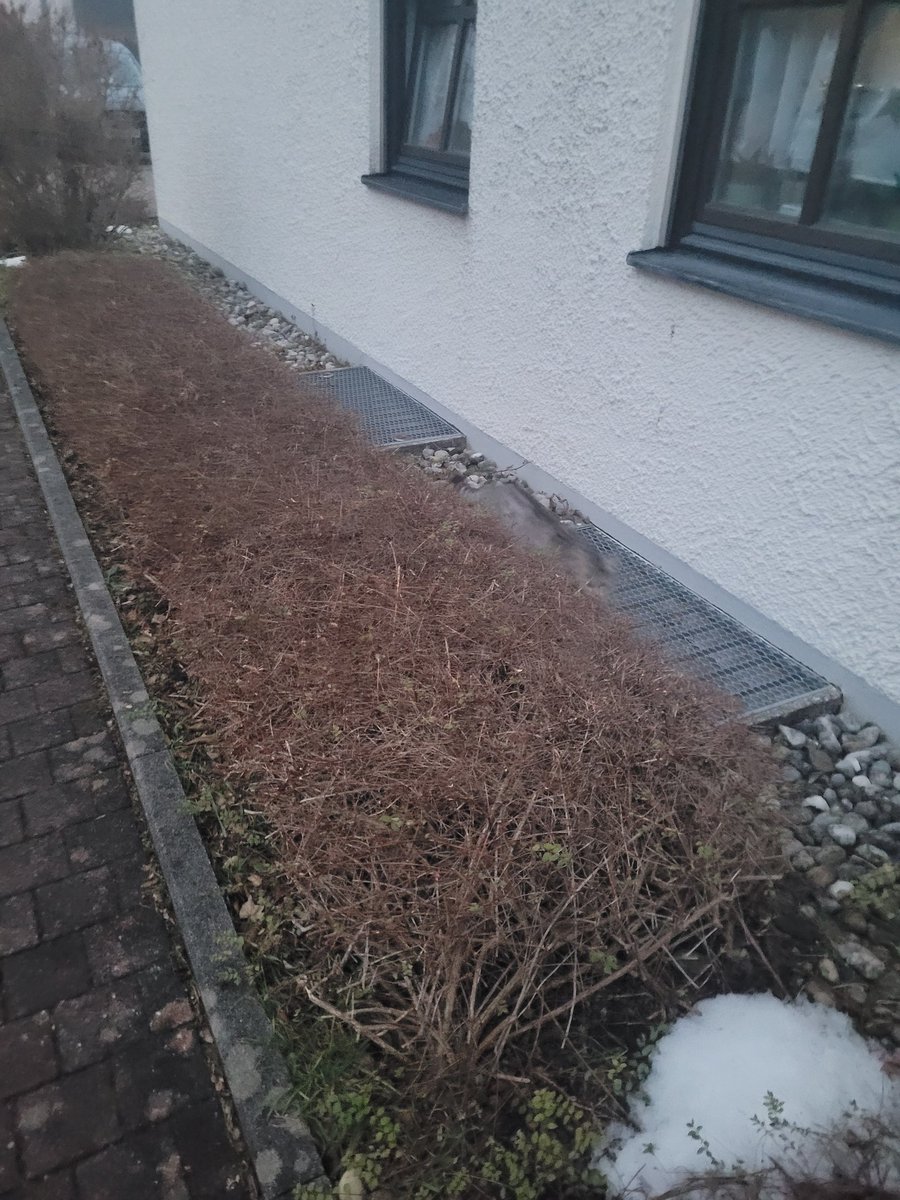 Hi Mami! You go shopping? Do you have the list we gave you? Beef treats, our fav menue with liver, and don't forget the treats with catnip! I will do a short shift and am back, when you come home. 🐾 Findus #FTeam #Hedgewatch