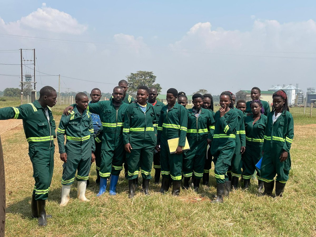 UVTABOfficial's tweet image. Industrial Training Monitoring: NCAP Students of Nawanyago, Ahmed Seguya, St.Theresa and Bukedea TI at National Animal Genetic Research Centre and  Data Bank - Kasolwe Stock Farm, Kamuli

#ITMonitoring #SkillsDvt #TVET