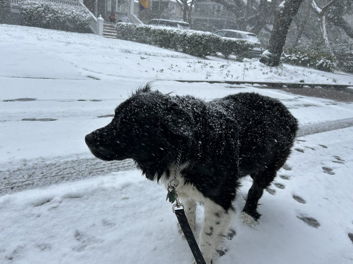 Enjoying a rare snow day!