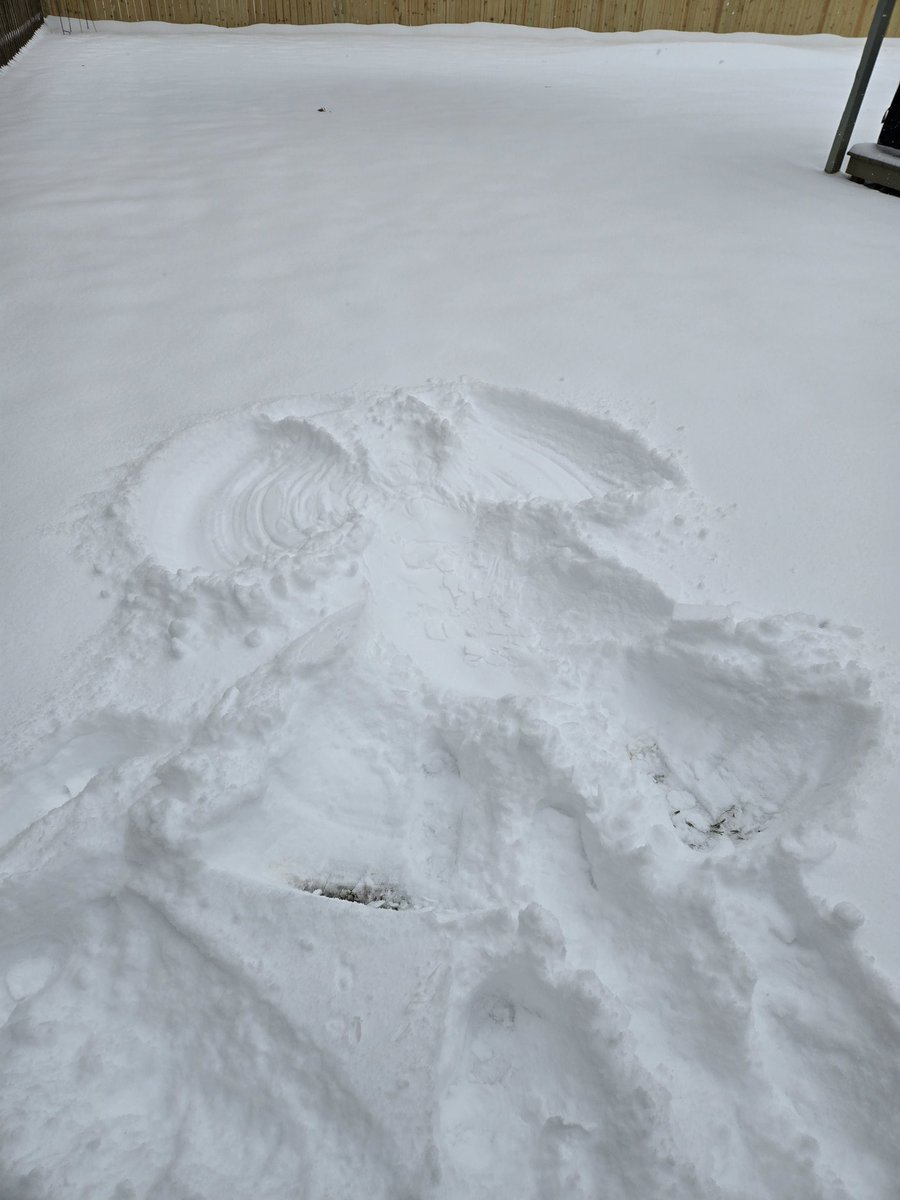 jsallen9's tweet photo. Made a Sneaux Angel #GeauxSneaux #BatonRouge #wbrz https://t.co/LU8meSCLam