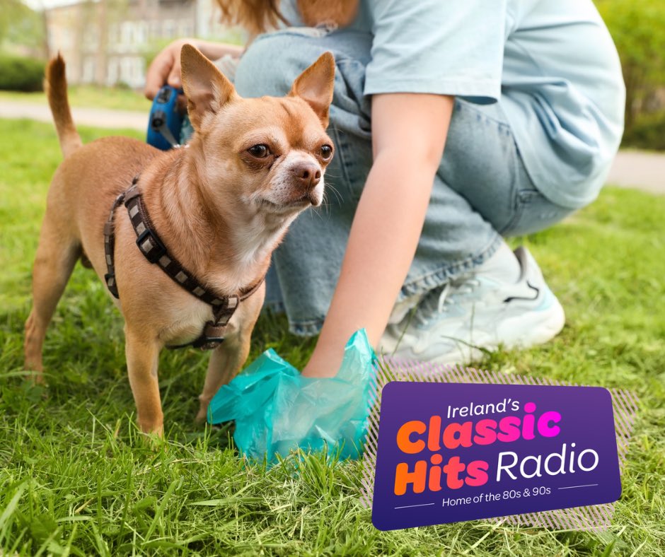 Tonight on Night Time Talk with Niall Boylan 🎙️

Are dogs a burden? 🐕

Irelands prison system is overcrowded - but should we be worried about it? 

And, is Irelands entry into the Eurovision Song Contest just a waste of taxpayers money? 🎶

Let us know your thoughts 087 188 0008