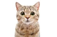 Jeff42747516079's tweet photo. Test post on twitter https://t.co/UfeFTtdfmG https://t.co/gAp3PTVvC6