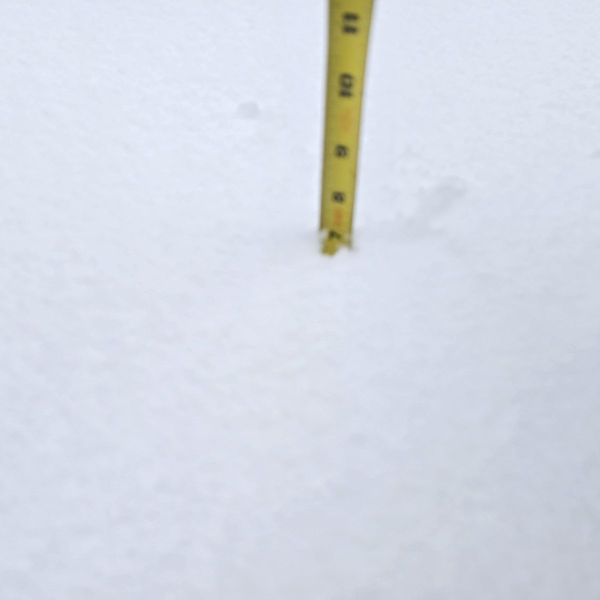djwby's tweet photo. just about 7 inches of snow in Lydia, LA 🥴 @ryanhallyall https://t.co/jCtALaKQL3