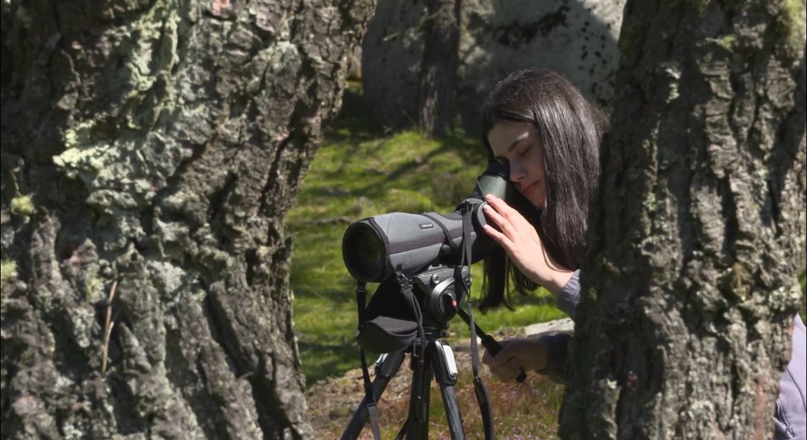 rebinxe's tweet photo. Conversamos sobre a etoloxía e distribución das greas de cabalos, aprendimos a identificar algúns rastros de lobo e mesmo nos deu tempo a descubrir que se agochaba dentro dunha das cámaras de fototrampeo que tíñamos instaladas na serra!! ⛰🐾🐺🐴 https://t.co/hlupBZtkK7