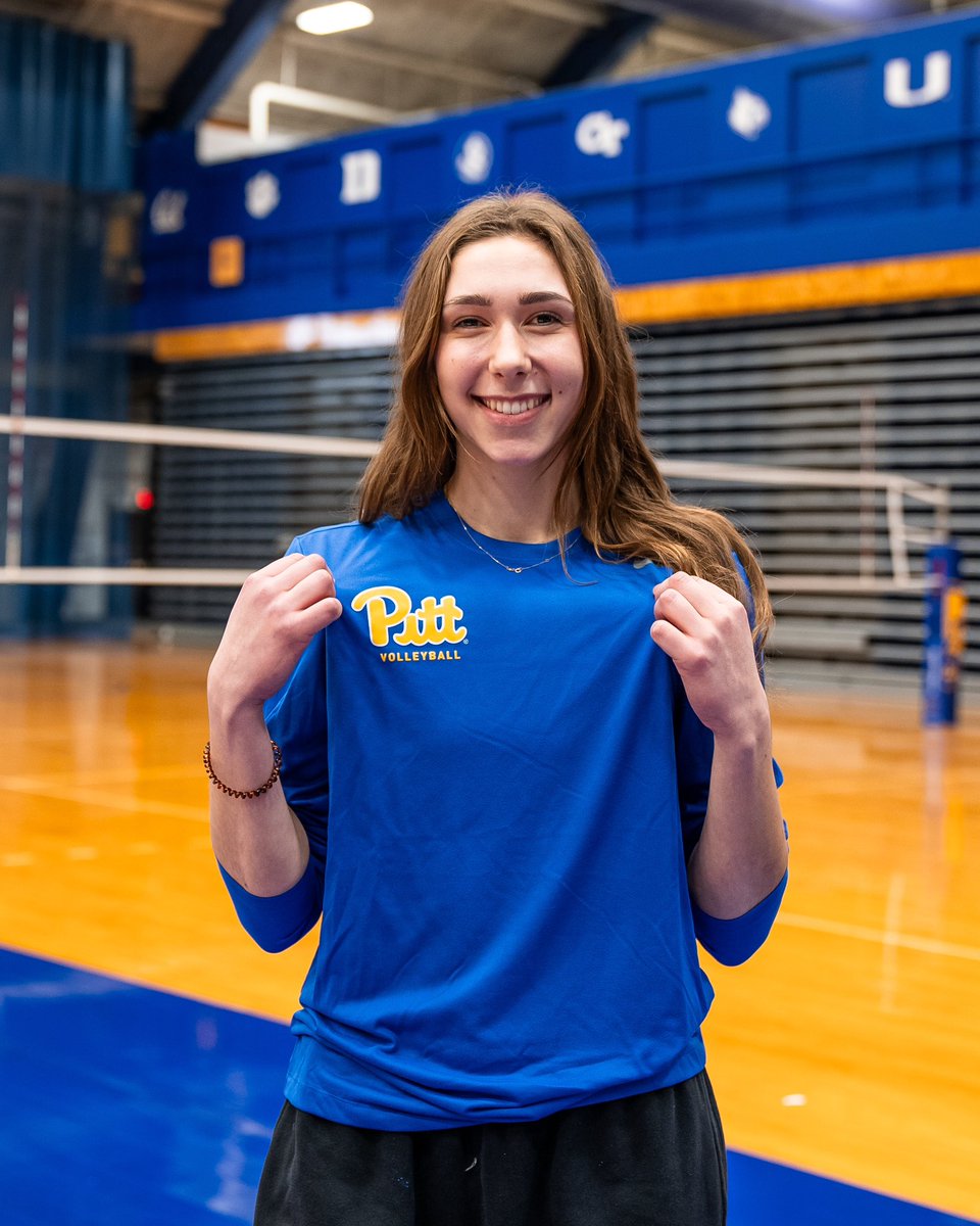 Pitt Volleyball tweet media