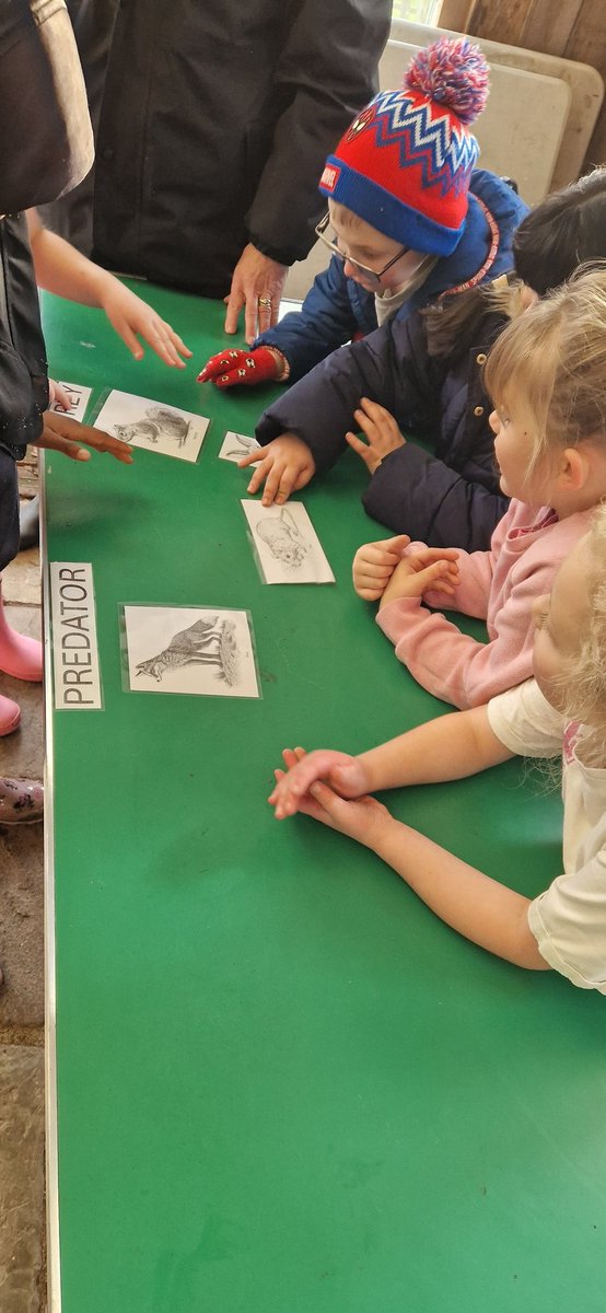rootstofruitce's tweet photo. Today @warren_farm_pri evaluated the strengths and weaknesses of the allotments as a habitat; learning about why nature needs to be balanced in order for plants and animals to thrive  🌳 🐦 🪱 🌳 @rootstofruit202 https://t.co/XL8ttCRCik