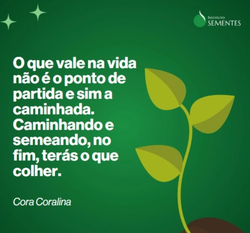 sementesorg's tweet photo. Caminhando e semeando, no fim terás o que colher. 🌱🌳💚 https://t.co/rh0AwGmkJ7