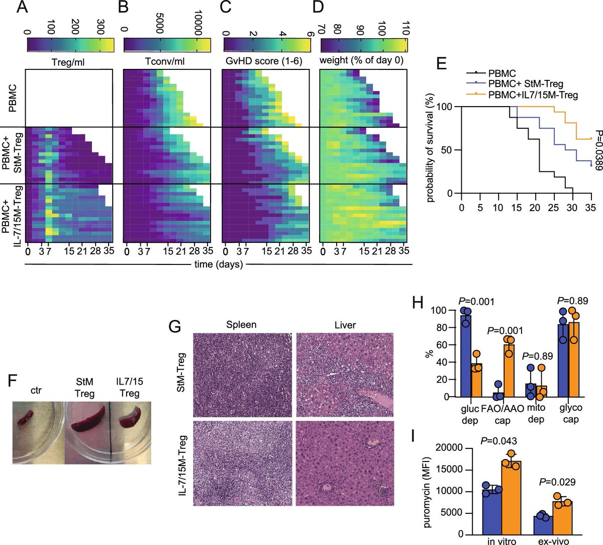 Metabolic reprogramming of naïve regulatory T cells by IL-7 and IL-15 promotes their persistence and performance upon adoptive transfer
nature.com/articles/s4200…