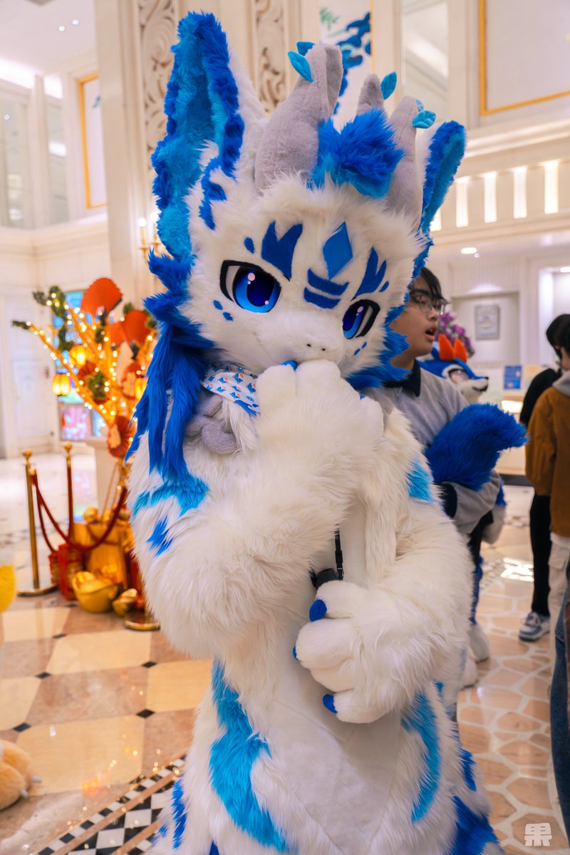 拍了，但不认识系列
返图会自己漂流到的x