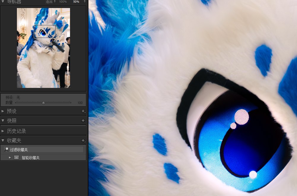 高像素的快乐！（数毛毛）