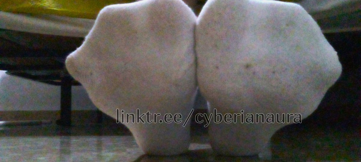 OneGirlSixToes's tweet photo. 6 toes in white smelly socks

#polydactyly #socks #footfetısh https://t.co/FJTO8IwR2c