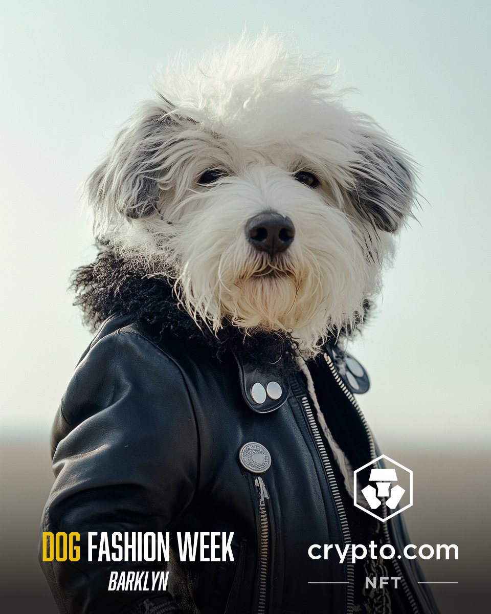 🐶 3,000 Dog Fashion Week NFTs are ready and will be airdropped to CFW holders according to schedule!
Get ready to meet the adorable doggy friends that your CFW cats are bringing along! 🐾✨

🔥 Cat Fashion Week, DROP LIVE 🔥
🚀 Exclusively on <a href="/cryptocomnft/">Crypto.com NFT</a>