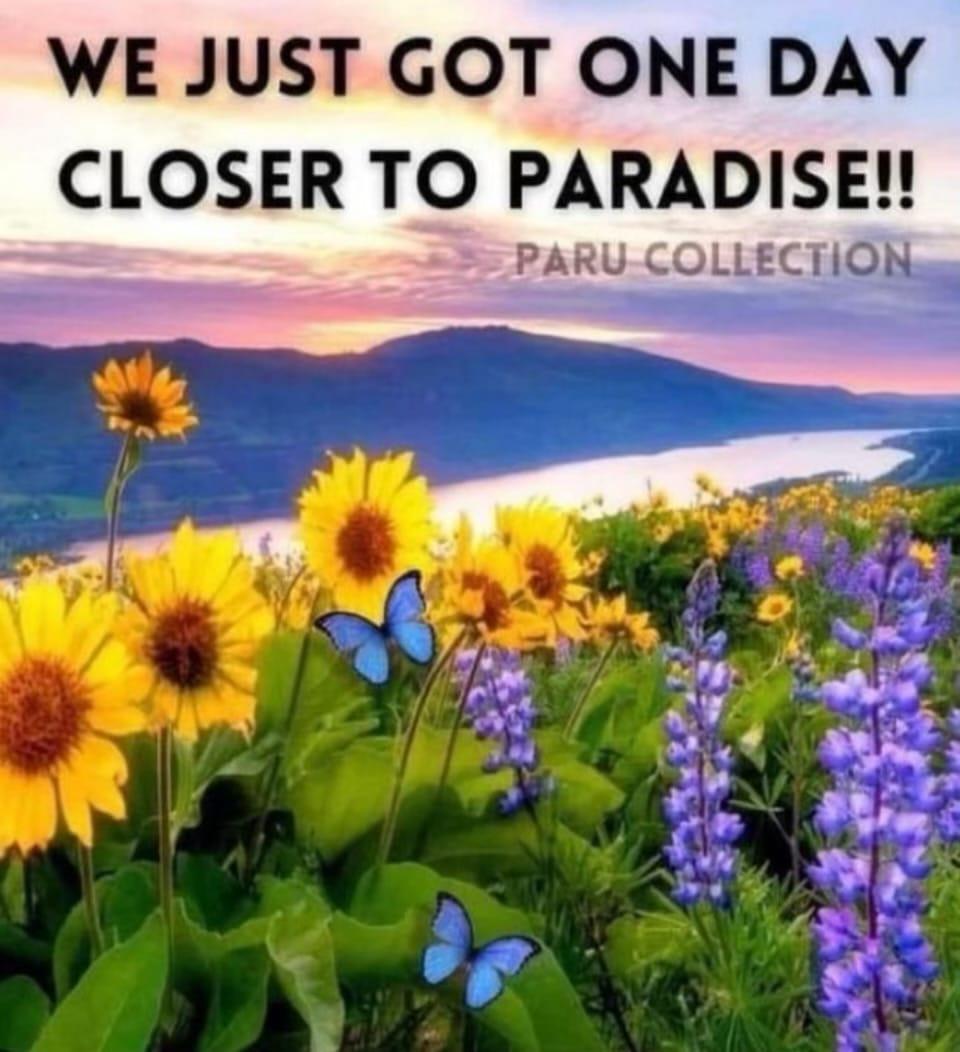 MoiSanDiego's tweet image. Yaaassss!