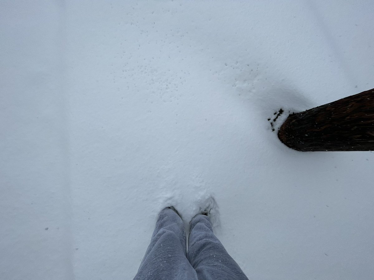 Purple_fandango's tweet photo. Why the FUCK is it SNOWING in LOUISIANA https://t.co/3iIlZTL1cC
