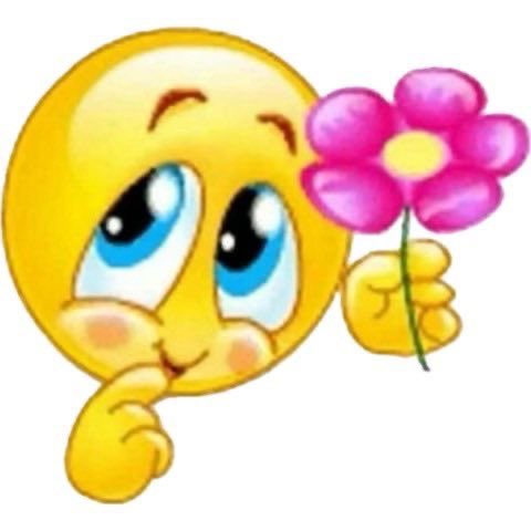 Candice ♡ tweet media