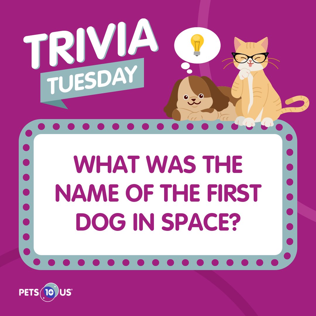 PetsPlusUsIns's tweet photo. #Win a $25 PetSmart gift card! To enter, answer the question, retweet this post and follow @PetsPlusUsIns by 11:59PM EST. Open to Canadian &amp; US residents (excluding QC). Ways to enter: https://t.co/NcR0q5FeWw https://t.co/XtX6uyjiYu
