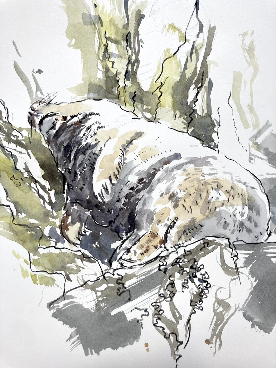 Alice Angus tweet media