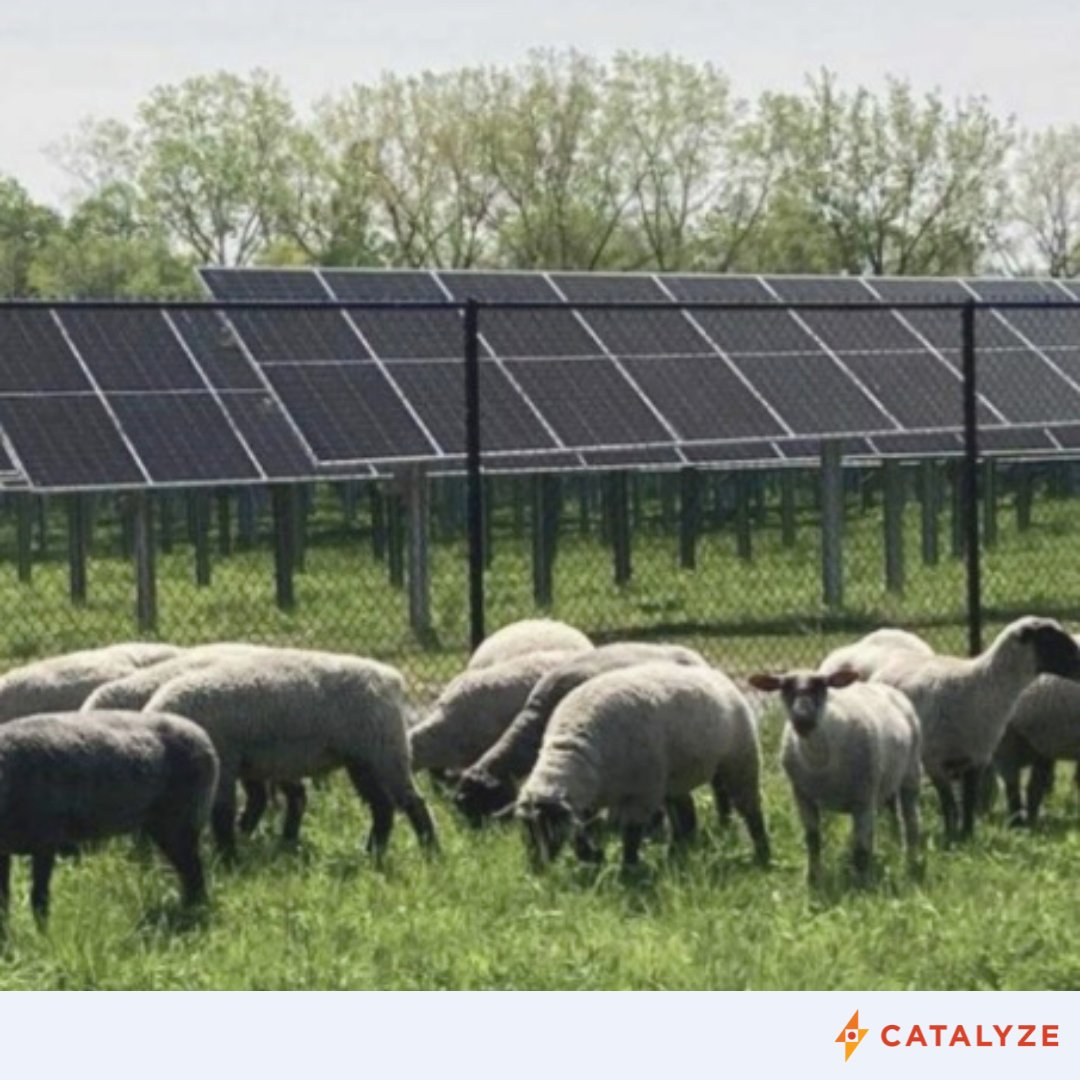 Catalyze tweet media