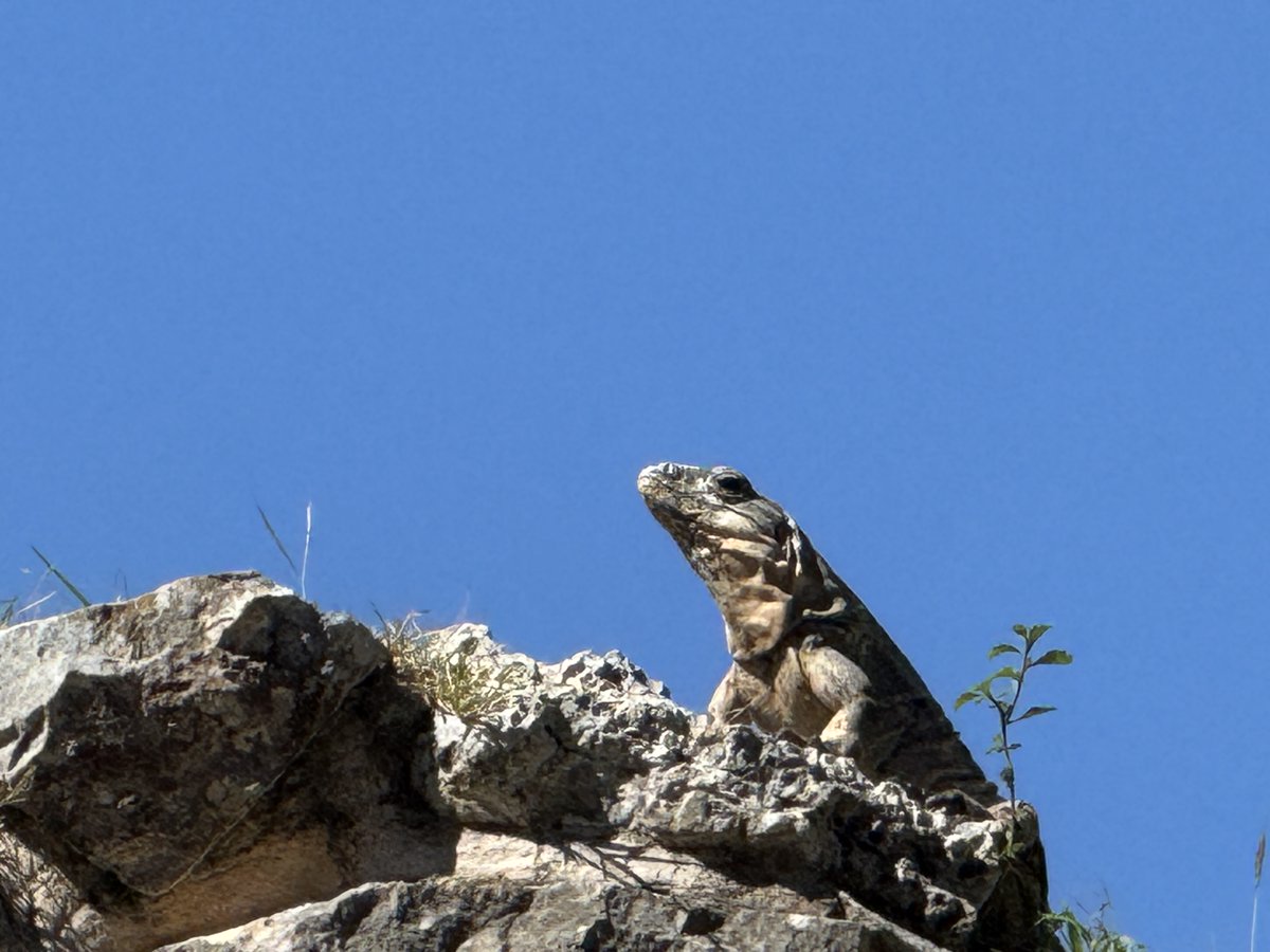 Do you just come out when it’s warm and comfortable or are you working when no one sees?