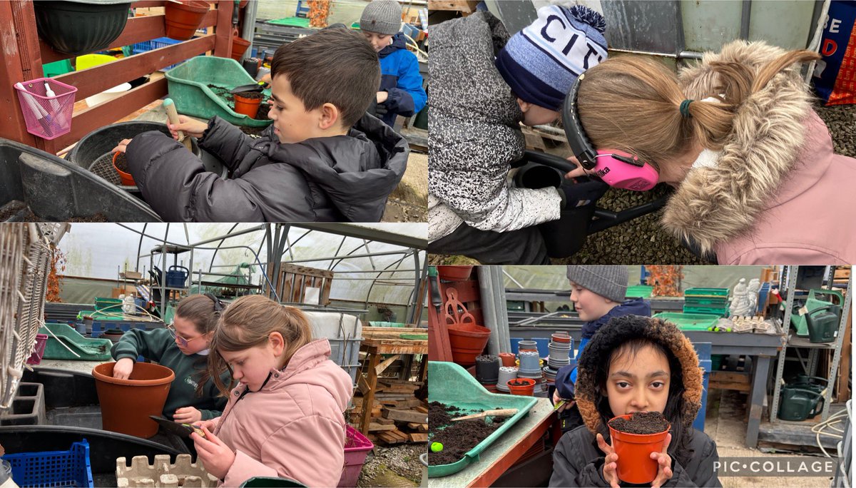 HTS_OutdoorsEd's tweet photo. Maple, Chestnut, Sycamore classes have been planting for science week. They planted peas that are out of date, and bulbs that should have been planted in autumn. They are testing to see that if with some TLC, the seeds will germinate and the bulbs will flower! @HawthornsTweets https://t.co/4daP1Sydow