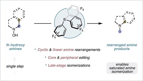 Congratulations to <a href="/charis_amber/">Charis Amber</a>, Timothée, Giedre, Ryan, and visiting scholars Breanna and Julius as well as our collaborator Dr. Small on the publication of our work on the two-step isomerization of saturated cyclic amines, now on <a href="/JACS_Au/">JACS Au</a>!
pubs.acs.org/doi/10.1021/ja…