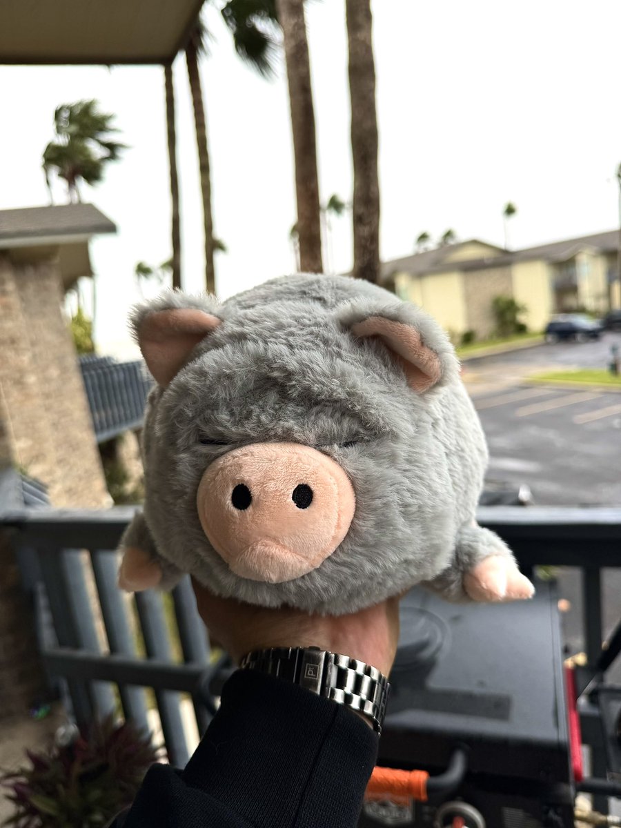 he is such a good pig🐽❤️

shoutout to <a href="/CLUBMARSLLC/">CLUB MARS GROUP</a>, <a href="/NikePig_ADA/">NikePig</a> &amp; <a href="/IOHK_Charles/">Charles Hoskinson</a> for making this a reality!

it was like Christmas morning when I opened this box to a plush bundle of NIKE😂❤️🐽