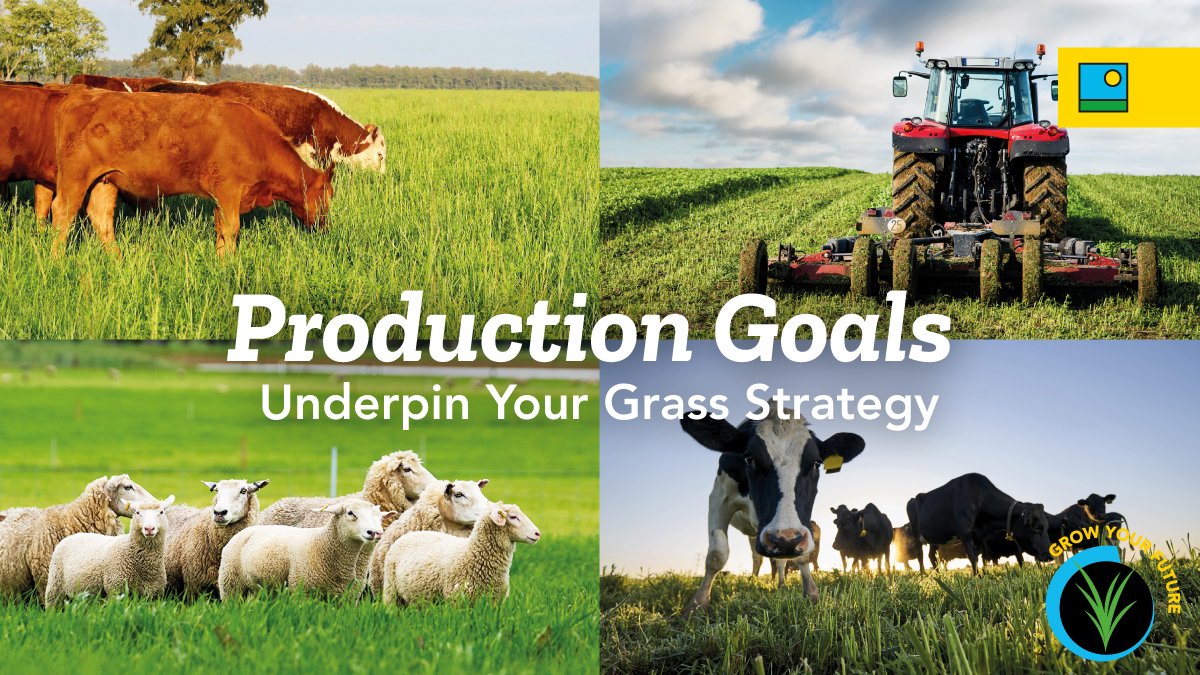 Barenbrug UK tweet media