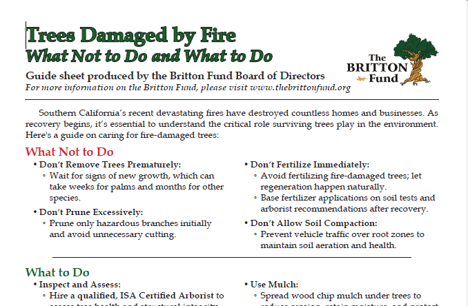 A timely resource from our friends at the The Britton Fund...
An information guide to help care for fire-damaged trees. It offers professional advice on assessing tree recovery, protecting root zones, and promoting natural regeneration.  thebrittonfund.org/technical-info…
