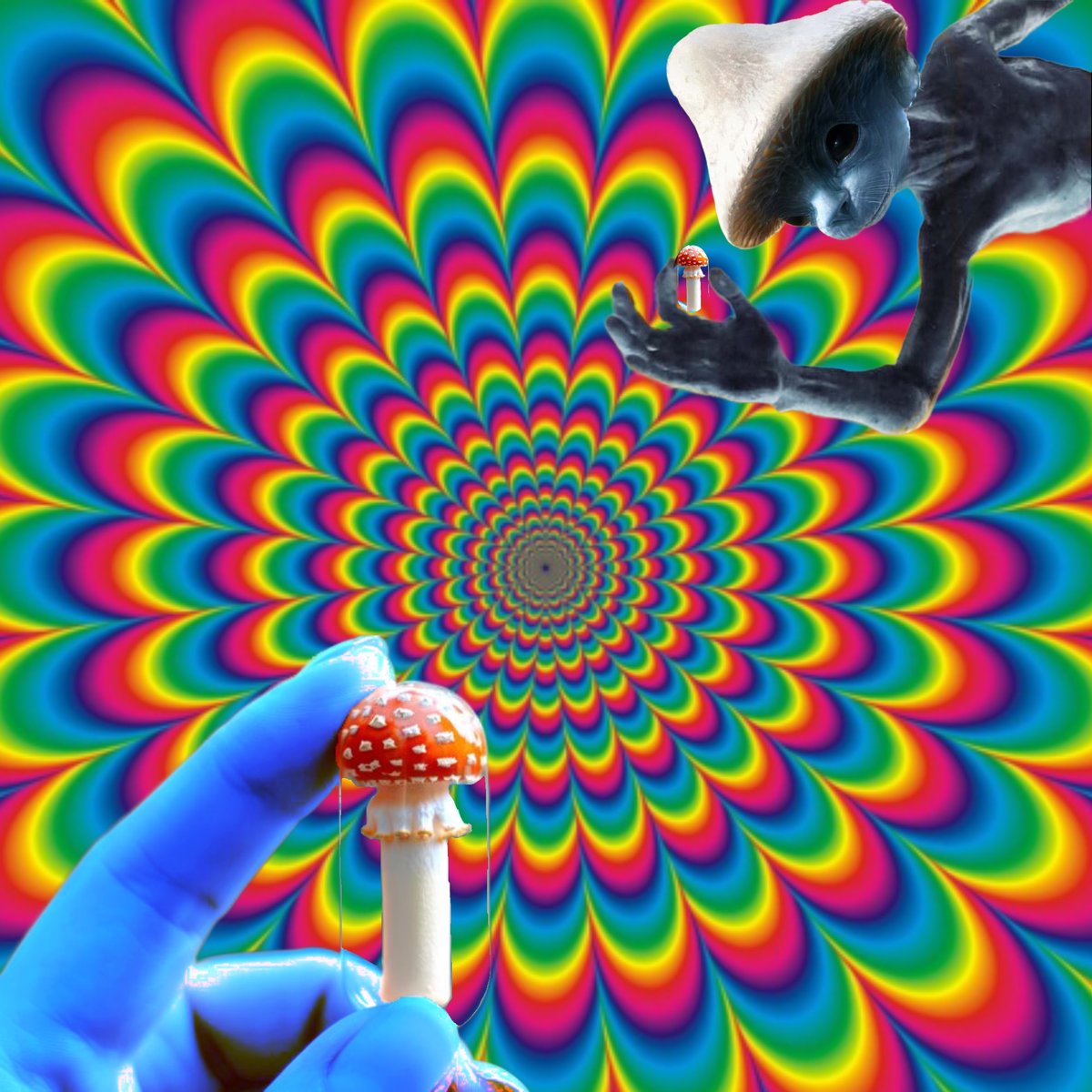 SmurfcatCTO's tweet photo. Have you taken your shrooms today? 🍄 https://t.co/1tFn6SDozT