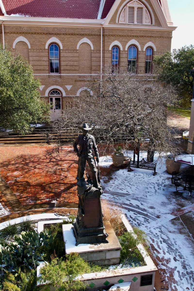 Snow day, #TXST style 😸❄️