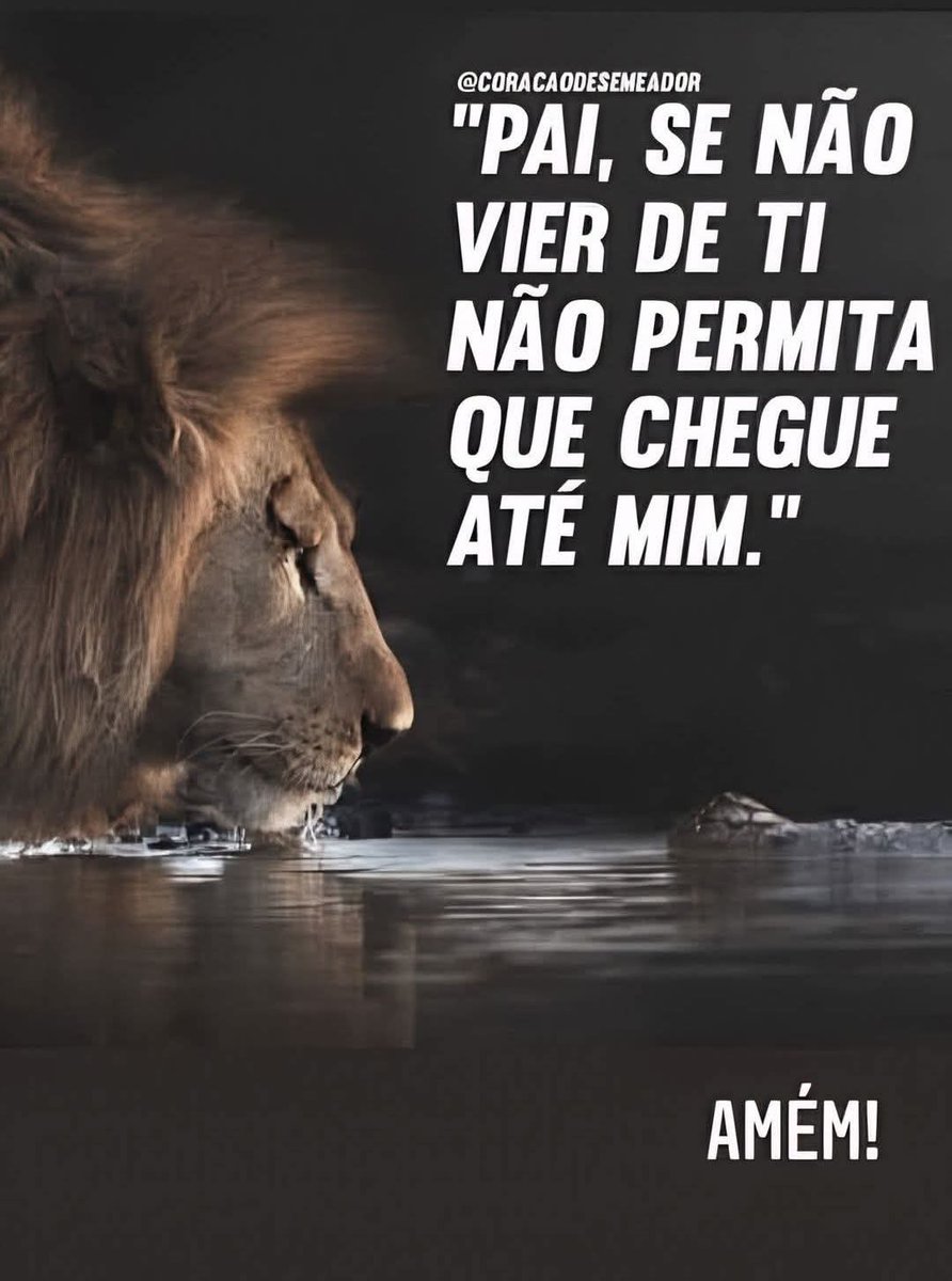 Eliana Wellensohn (@eliana48914238) on Twitter photo 