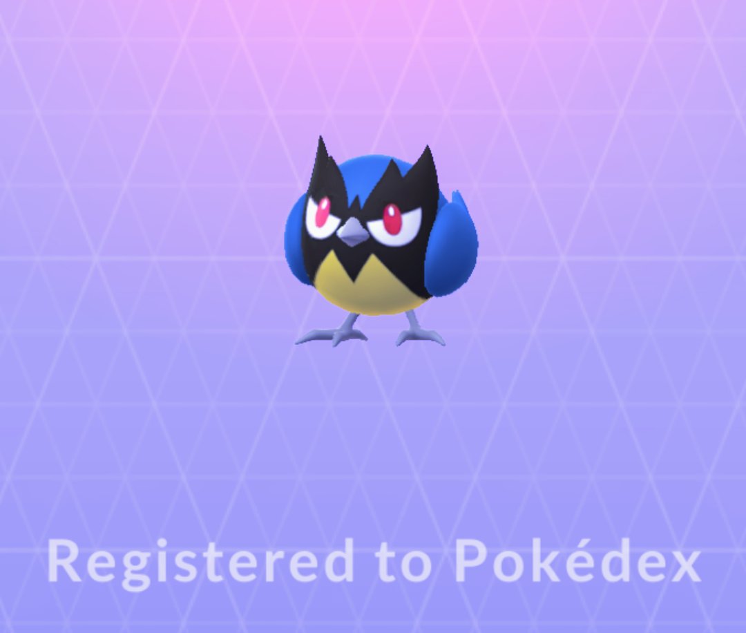 trainer_novice's tweet photo. Welcome to the league Rooki
#PokemonGO #SteeledResolve #Rookidee https://t.co/tCsuPCPa3c
