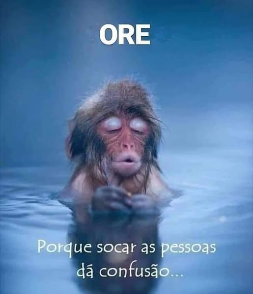 asemananews's tweet image. Os #filhos de Deus devem marcar a diferença, #amando até mesmo os seus #inimigos : -"Bem-aventurados os pacificadores, pois serão chamados filhos de Deus". (Mt 5:9)

#fazerobemsemolharaquem #AguenteFirme  #orestoagentevedepois #DeusEstaNoControleDeTudo #Jesusestanobarco